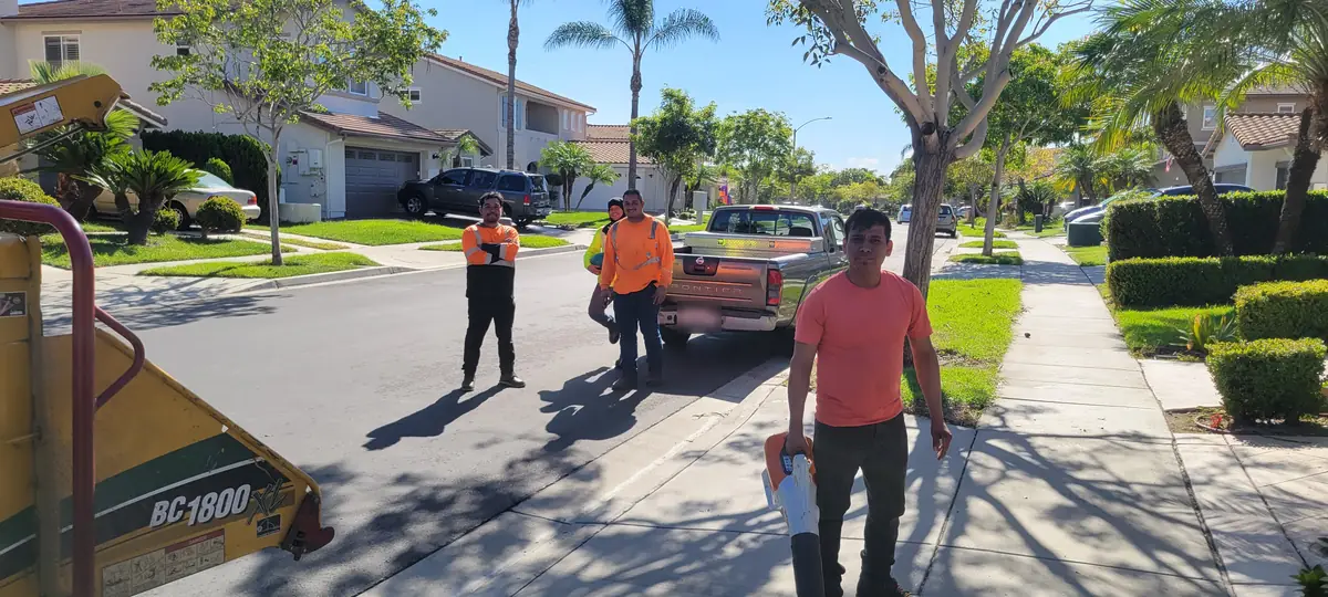 Higuera Tree Care crew on a residential street